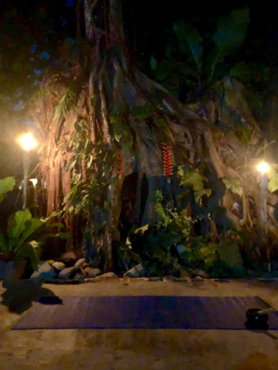 Jaco Inn מראה חיצוני תמונה